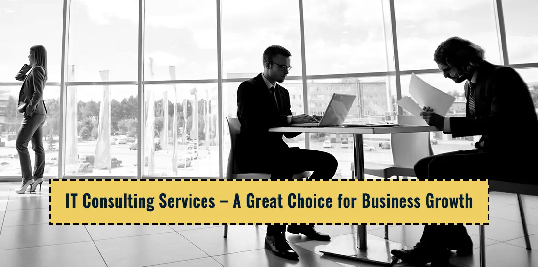 IT Consulting Services – A Great Choice for Business Growth