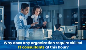 Why does any organization require skilled IT consultants at this hour?